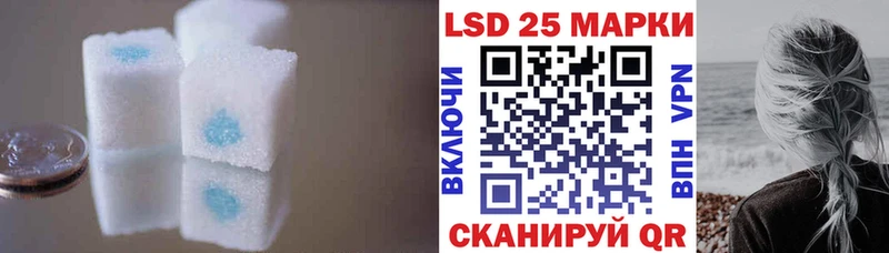 дарнет шоп  Светлый  Лсд 25 экстази ecstasy 